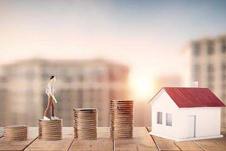 猪肉期货报盘平台大全：主流报盘平台一览