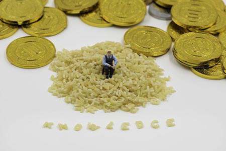 动态资产配置的双螺旋结构